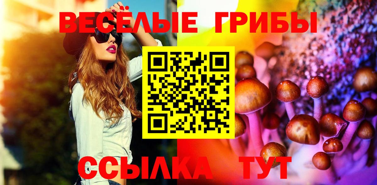 Тихорецк  Псилоцибиновые грибы ЛСД  Вход с VPN 