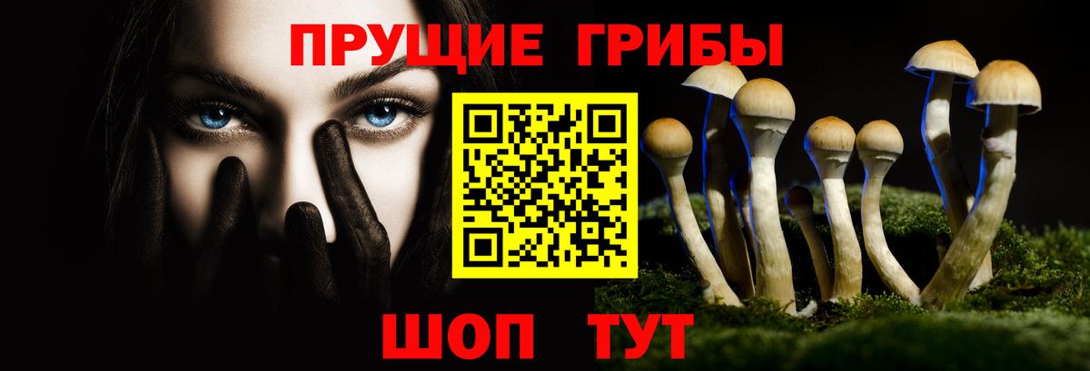 Псилоцибиновые грибы Psilocybe Тихорецк